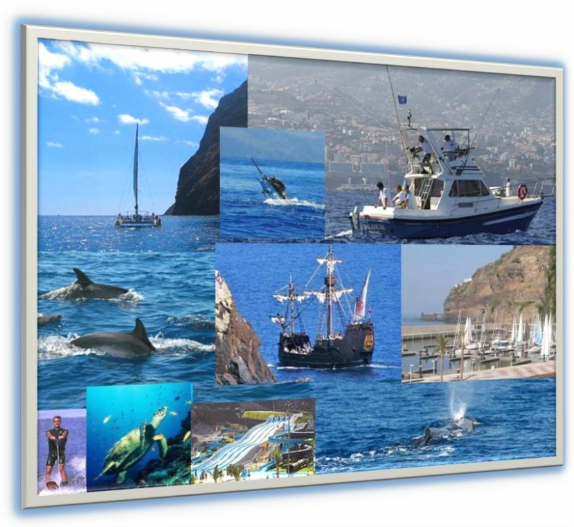 Wide variety of water-sport options Madeira, dolphin watching, sailing game fishing, skiing, scuba diving, whale watching and pleasure cruising 