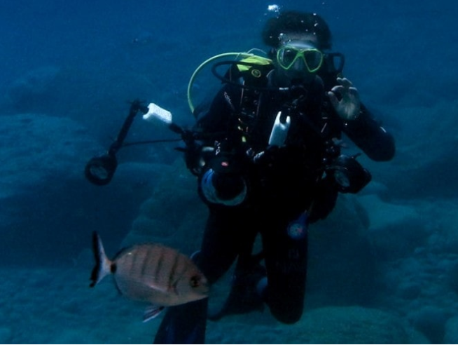 Best of SCUBA Diving in Madeira